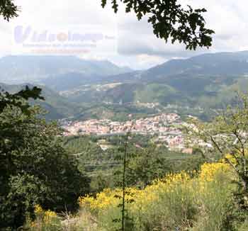 lagonegro-pan-da-cast-c