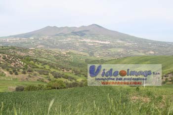 monte-vulture-da-gin