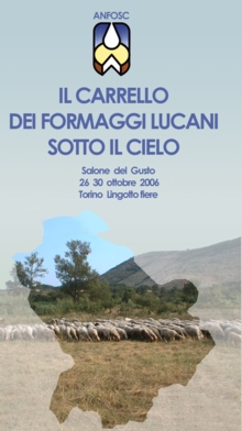 brochure_fronte_anfosoc