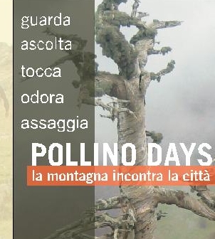 fronte_brochure_poll