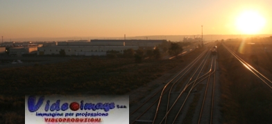 sata_alba