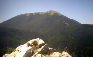 pollino-2