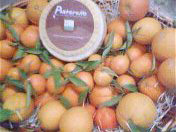 arance-1