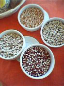 fagioli-2