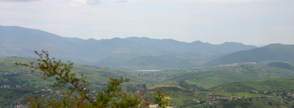 pignola_lago_di_pantano