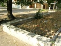 aiuiola