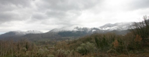 pollino-nev-pan1