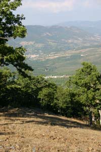 petrolio_estr_calv_