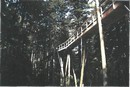 terranova