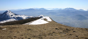 pollino-da-vulturino