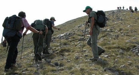 pollino la cima w